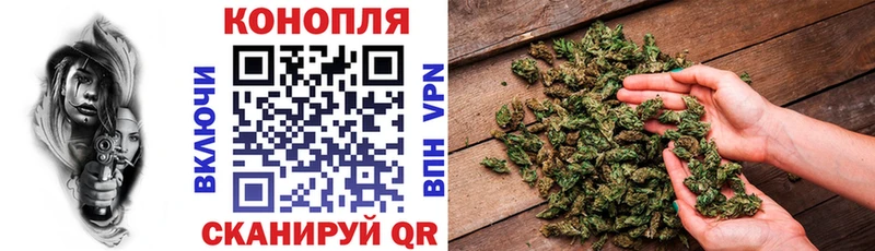 Наркошоп купить А ПВП  Канабис  МЕФ  Гашиш  Гай