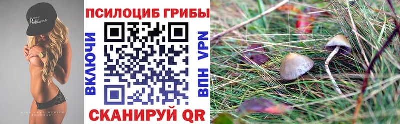 Галлюциногенные грибы Cubensis  Купить где  Гай 